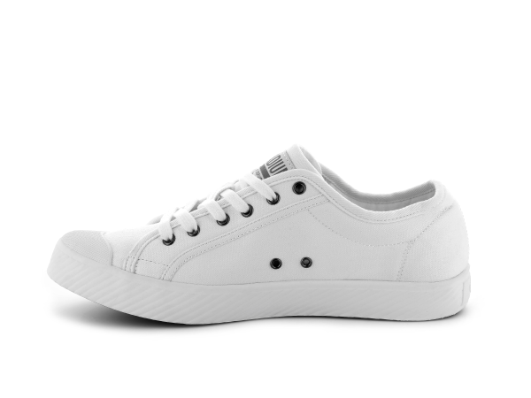75733-958-M | PALLAPHOENIX OG CANVAS | WHITE - Image 4
